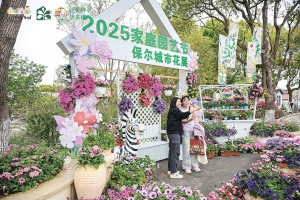 保尔城市花展引领园艺新风尚