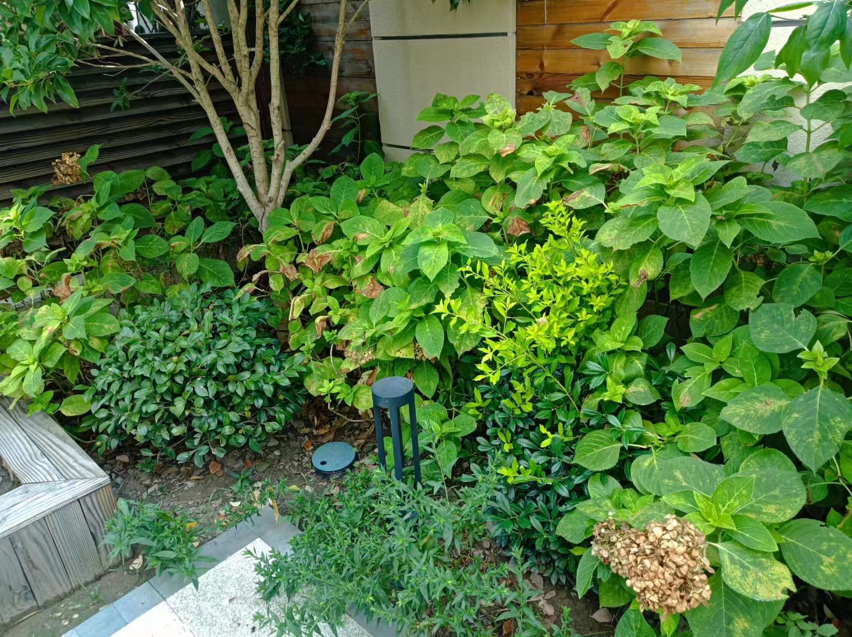 微信图片_20240812173213