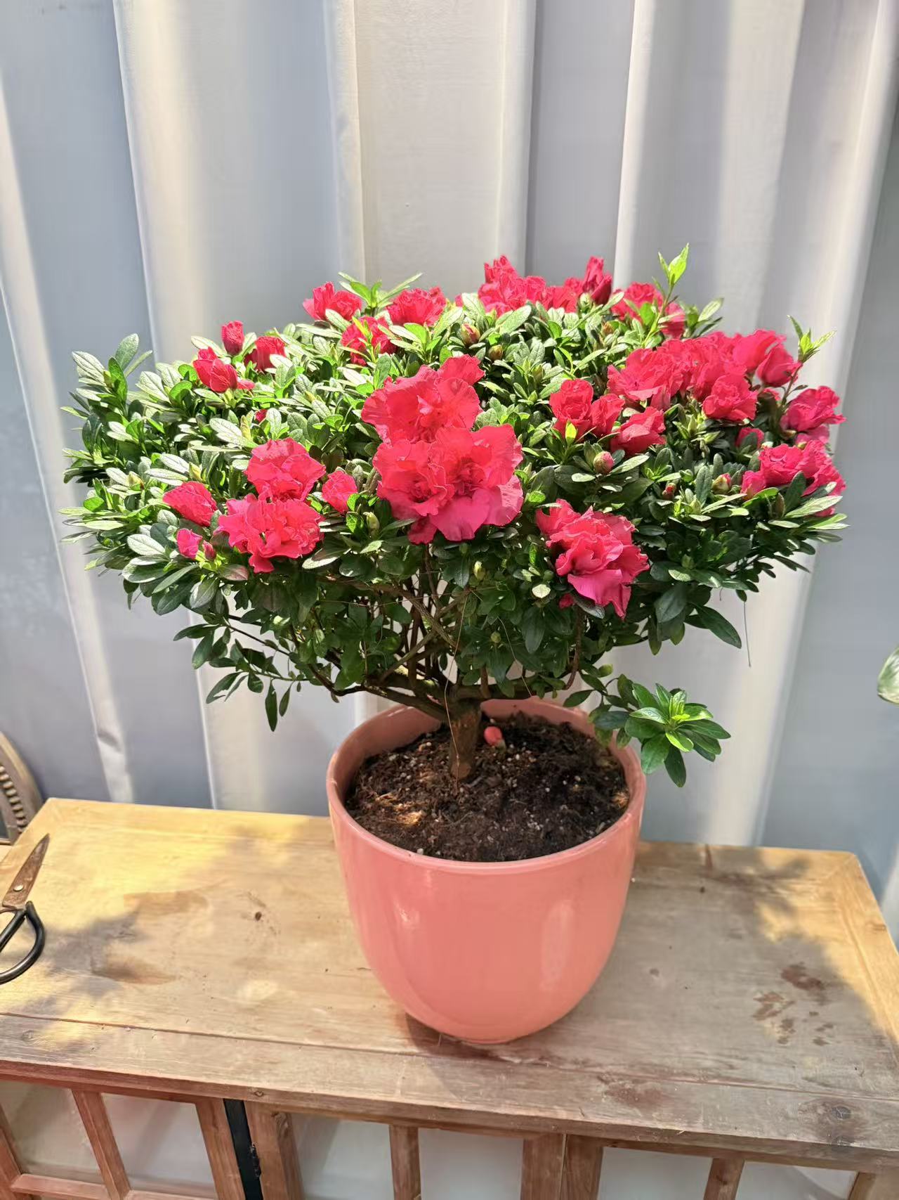 6fd7e817b7abe53696bd4acd8a394b45