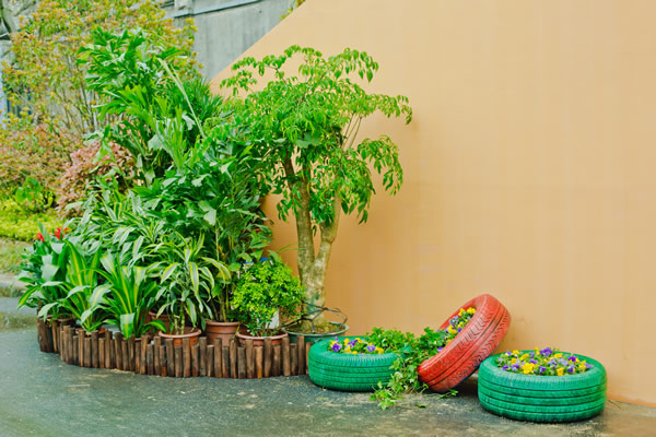 走廊植物租赁绿化