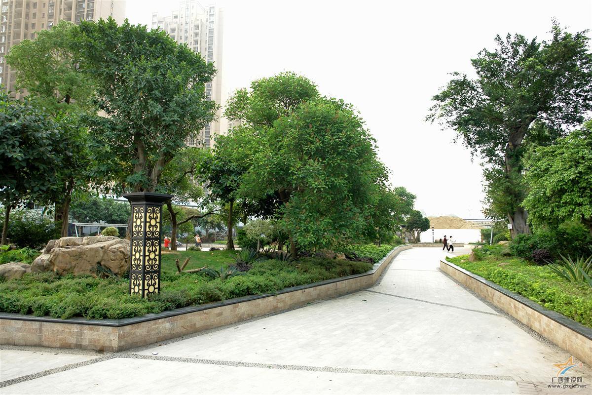 南通道路绿化工程
